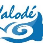 Incontournable en Guadeloupe : kayak de mer, mangrove, lagon et îlets