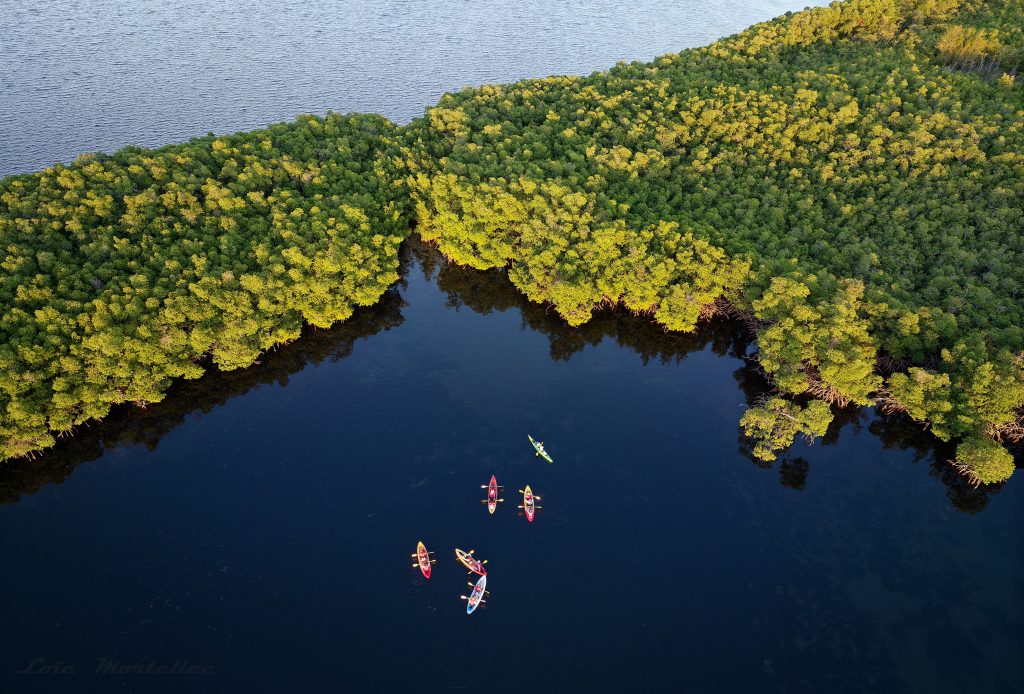 Incontournable en Guadeloupe : kayak de mer, mangrove, lagon et îlets